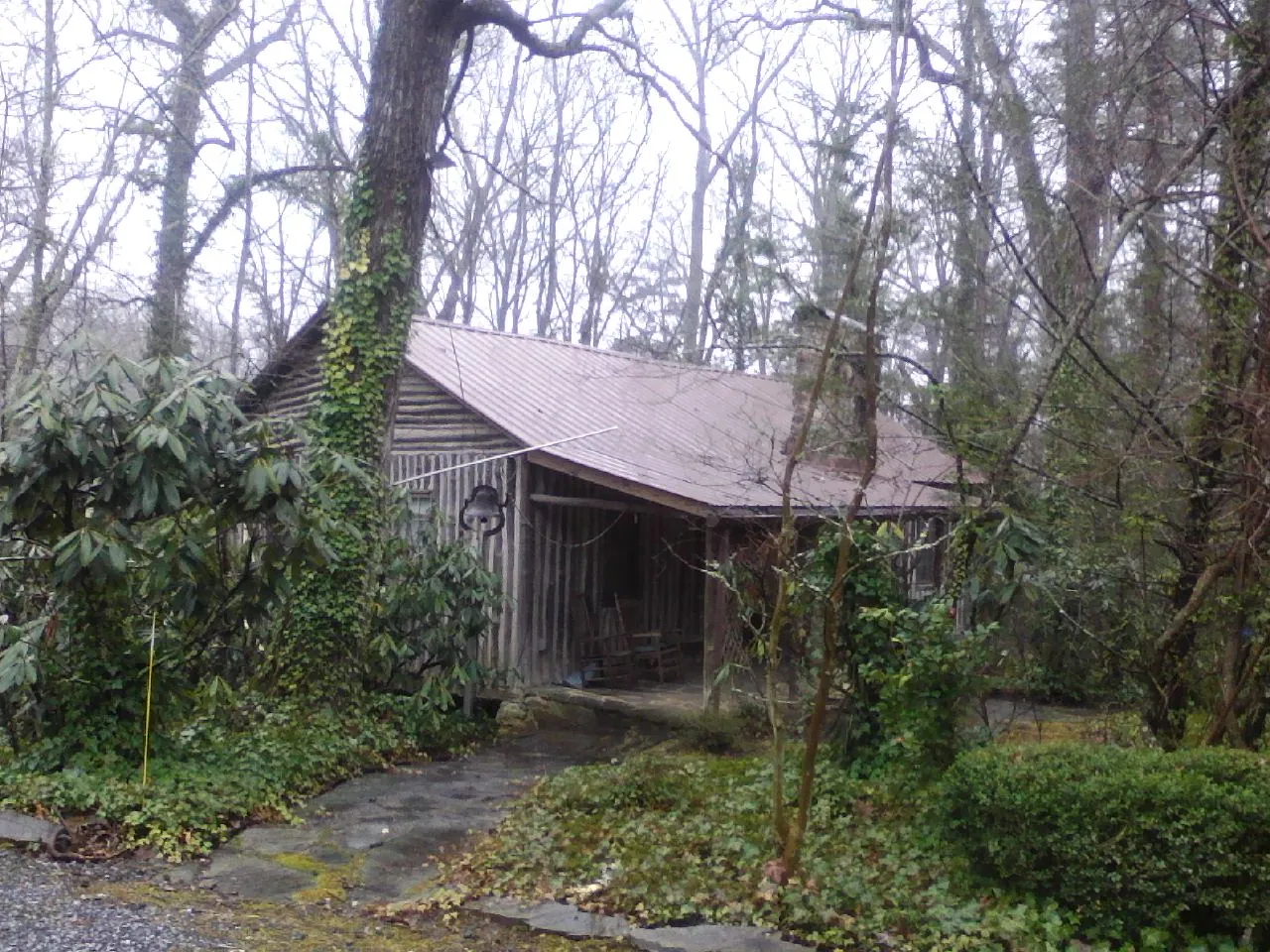 Weathered metal roof on an old board sided cabin in the woods in Bellevue